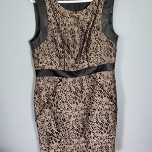 Jones New York mid length dress sz 12 Black Brown